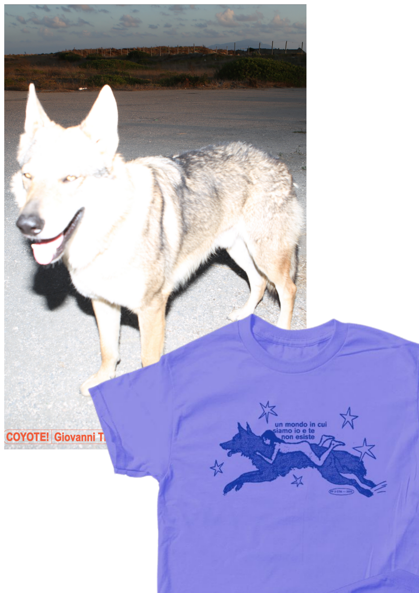"COYOTE!" FAN PACK T-SHIRT + POSTER (AUTOGRAFATO)