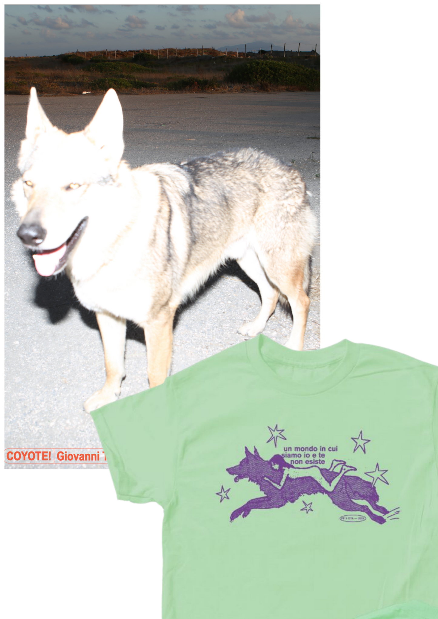 "COYOTE!" FAN PACK T-SHIRT + POSTER (AUTOGRAFATO)